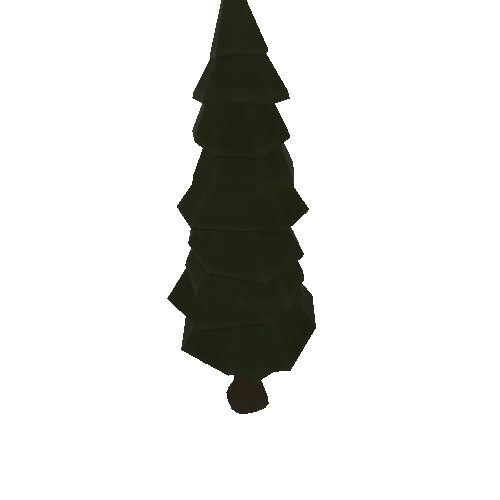 Pine Tree 1_1